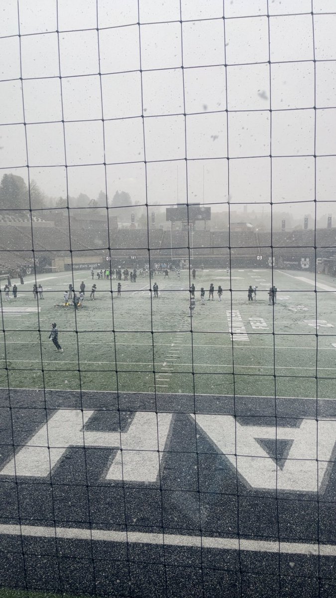 Koa Wallwork tweet media