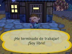 Canelita tweet media