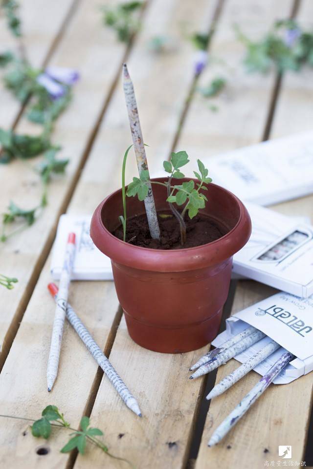 Heather Hammond tweet media