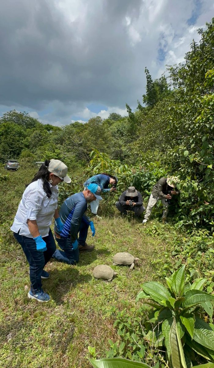 SintrambienteM's tweet photo. @CORMACARENA a cargo de su director @jhormansal
extendió invitación a los miembros de la junta @SintrambienteM, para la participación en jornada de liberación de fauna. https://t.co/ThxqGVYpLi