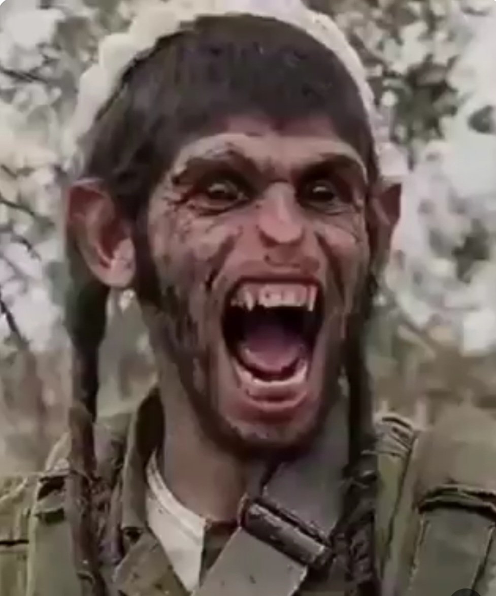 cüveyriye tweet media