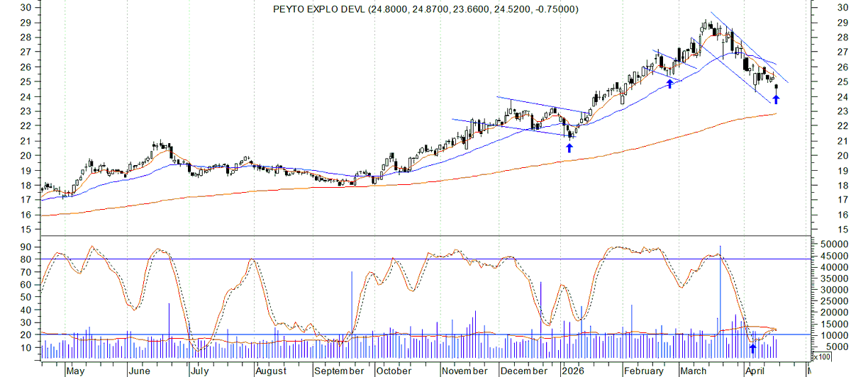 Bullish Trend tweet media