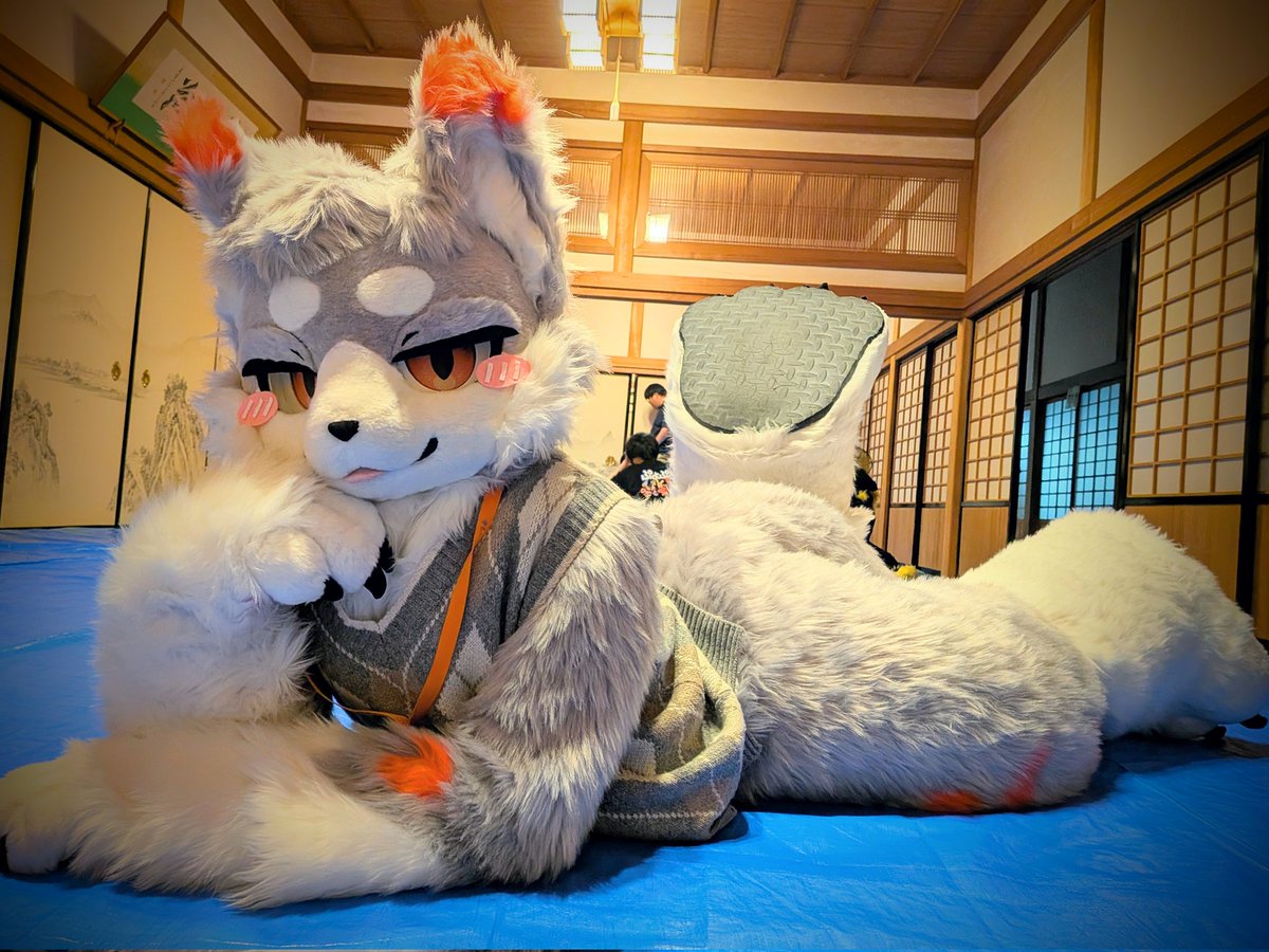 らんぎるが✨ tweet media