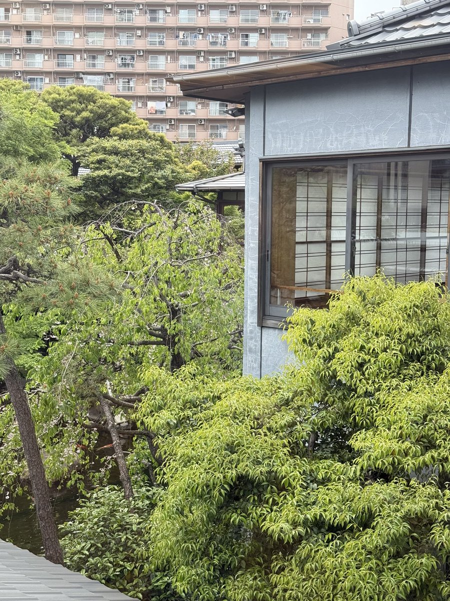 ヨネスケ🌈桂米助 tweet media