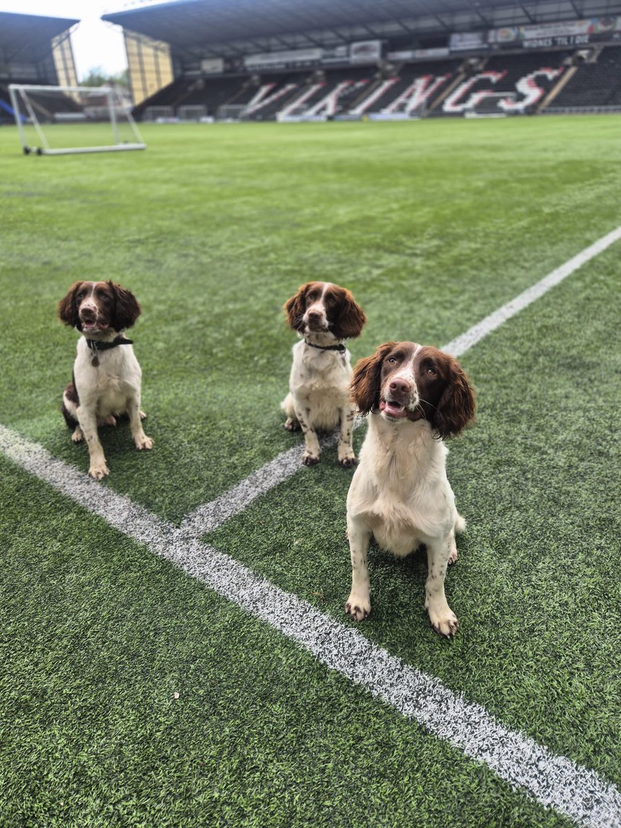 Mersey Police Dogs tweet media