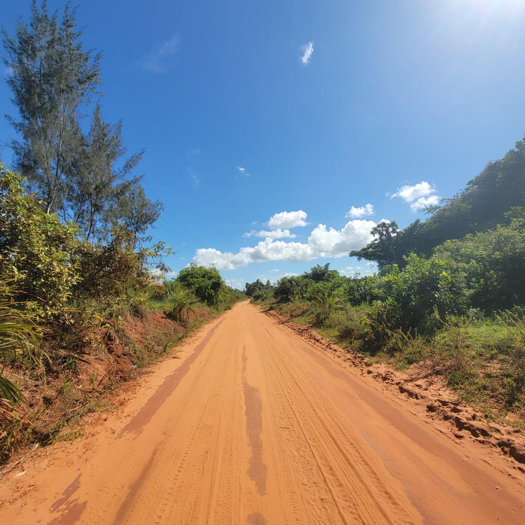 Muia 😎 tweet media