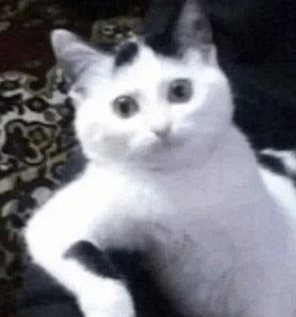 ♡CheapPizza♡ 🅴 tweet media