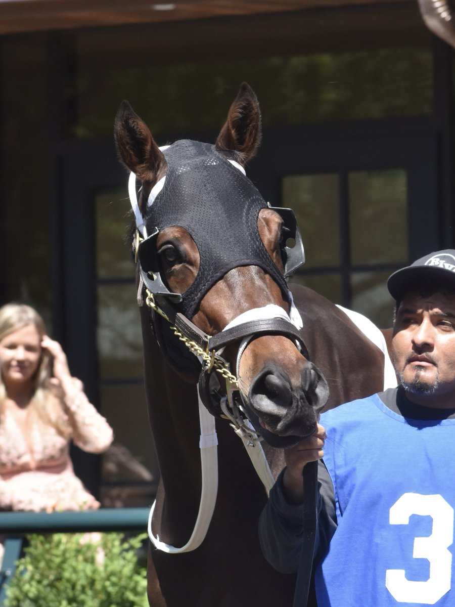 Equitrack tweet media