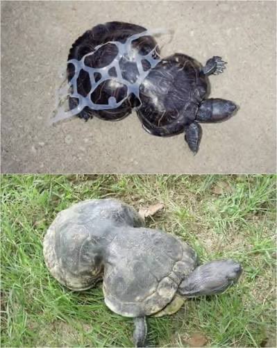 リヴァイアサン tweet media