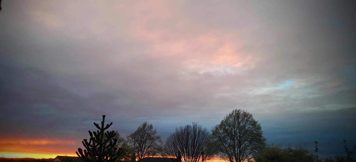 bosworth_alison's tweet image. 🩶🧡 lovely sunset 🧡🩶

#Sunset
#Sunsetvibes