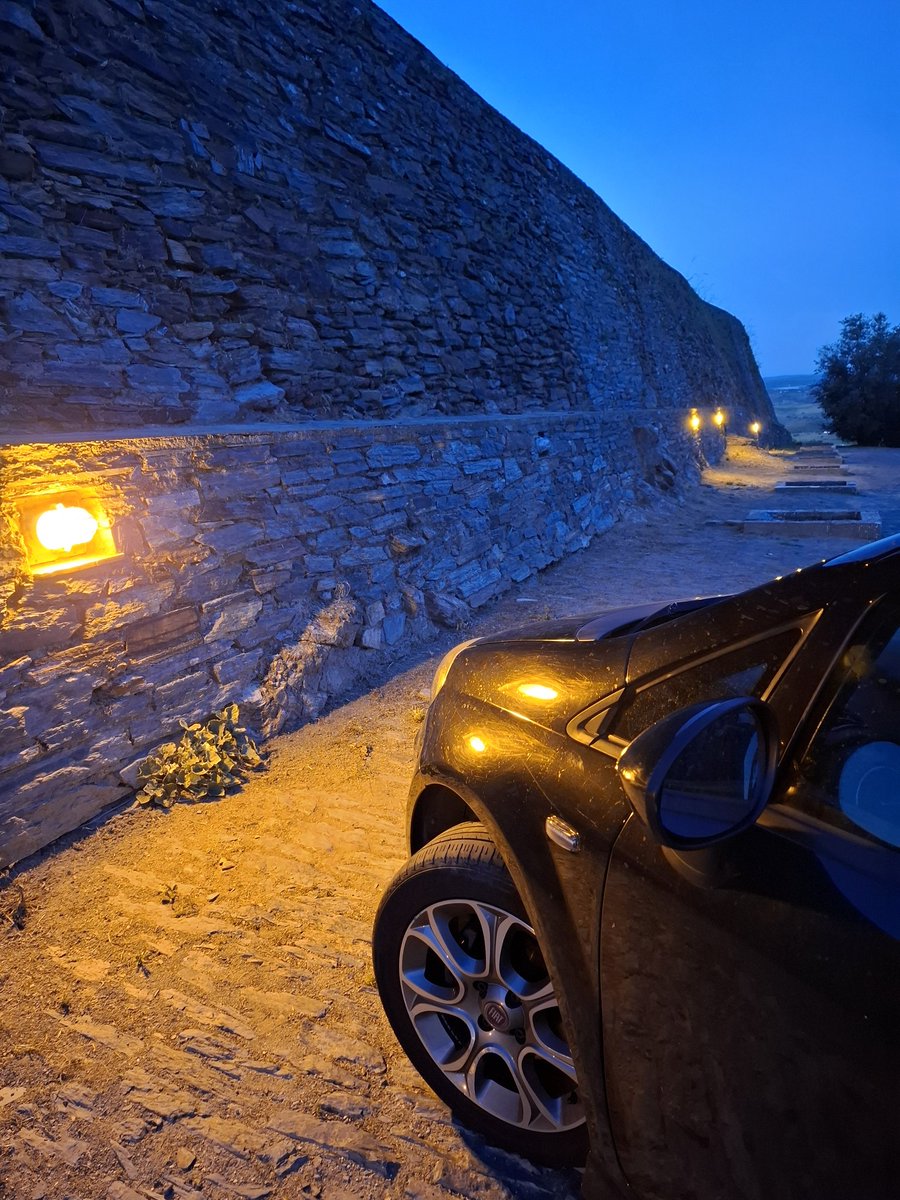 Alex J.X. 🇻🇪 tweet media