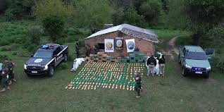 Comandante Puma tweet media