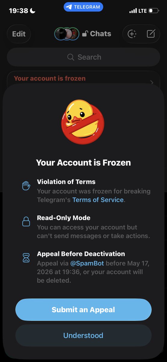 the mannequin tweet media