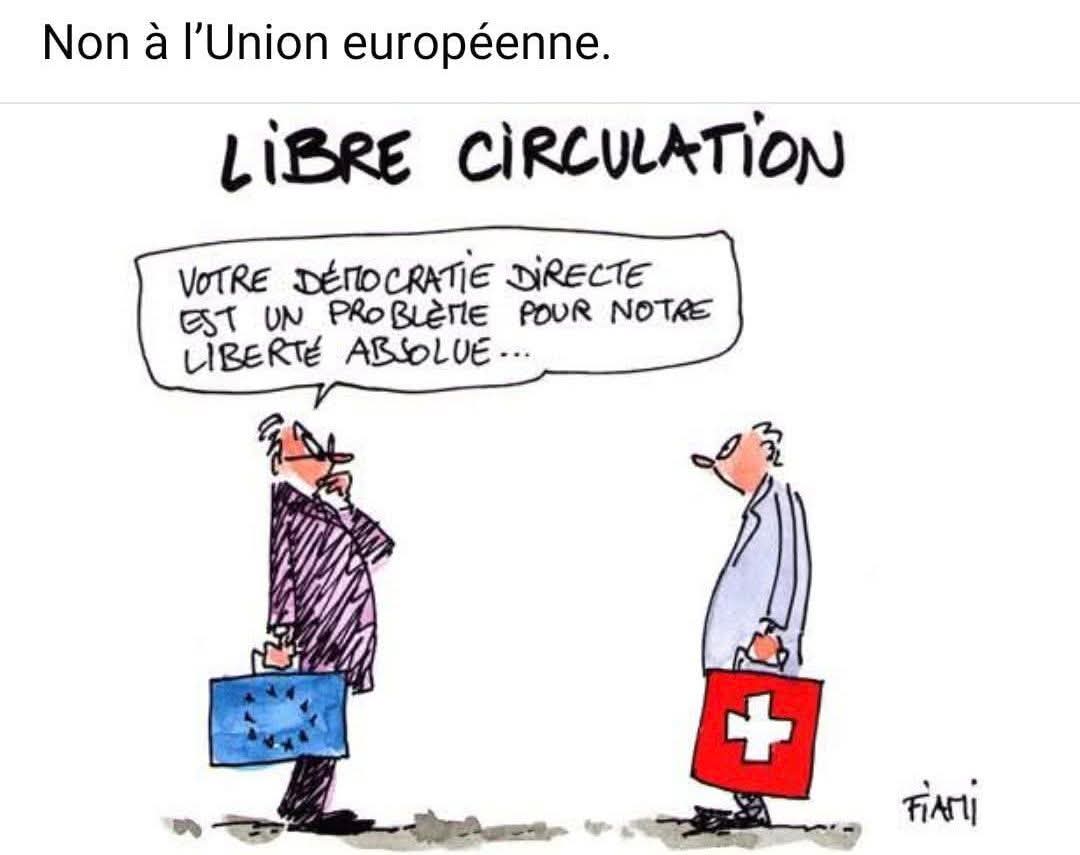 Sara 🇨🇭 tweet media