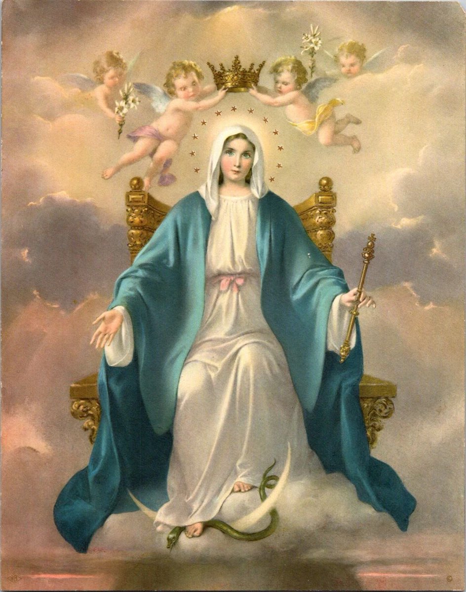 Pray The Rosary tweet media