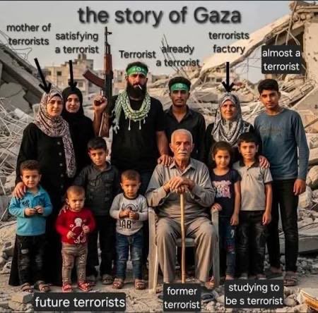 Ablaze Cat tweet media