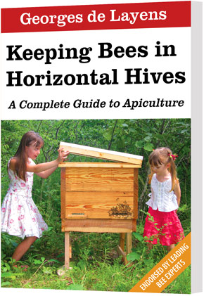 Sam - Quality Learing Center Graduate tweet media