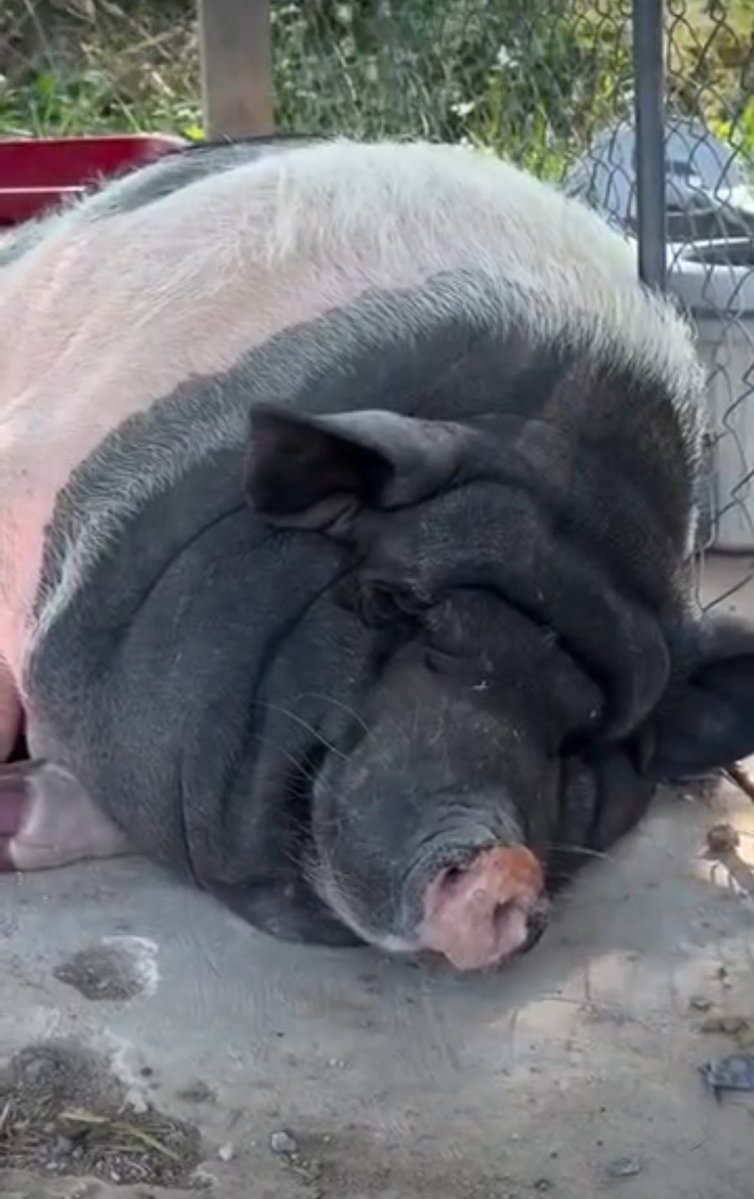 art_andy7 tweet media