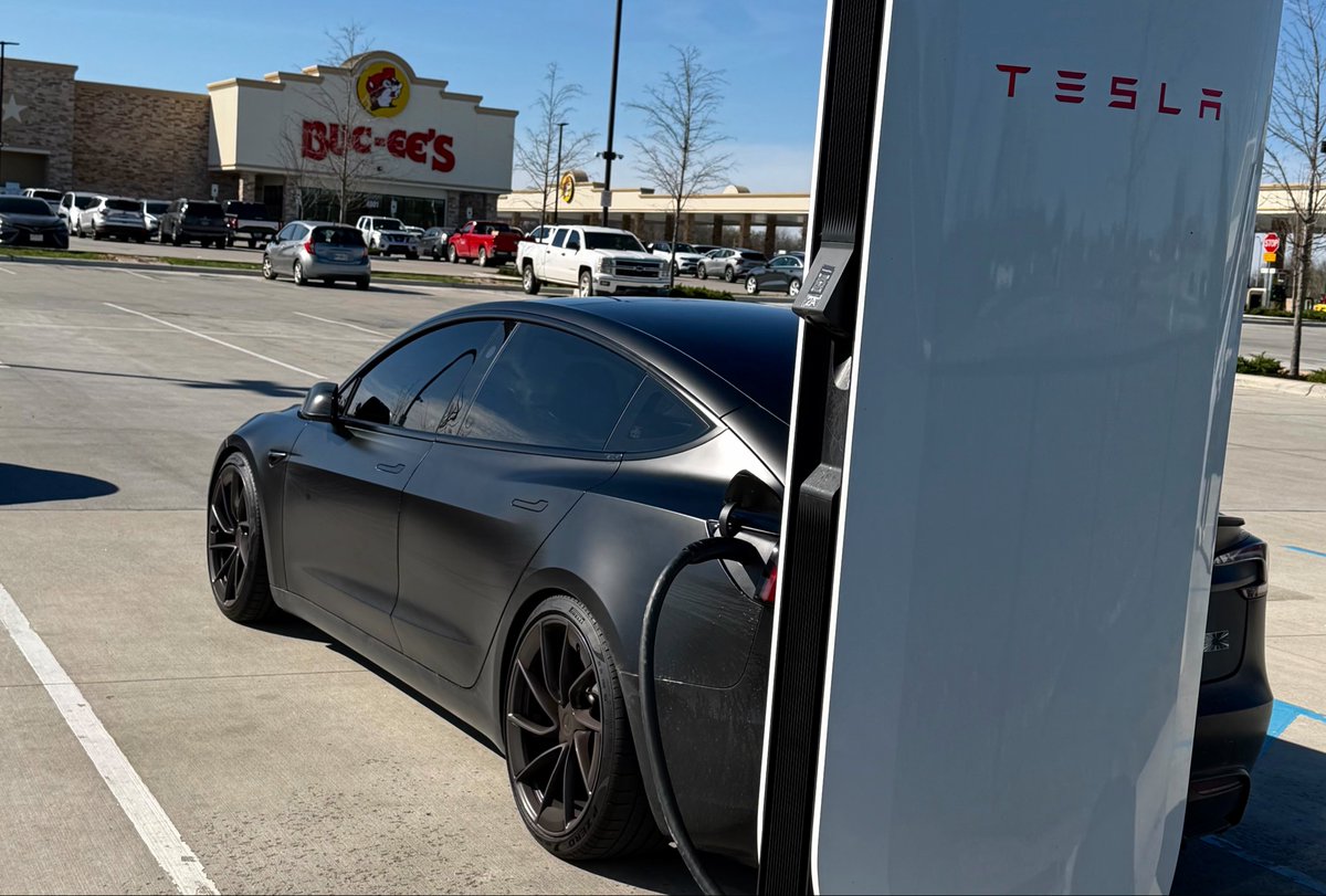 Nic Cruz Patane tweet media