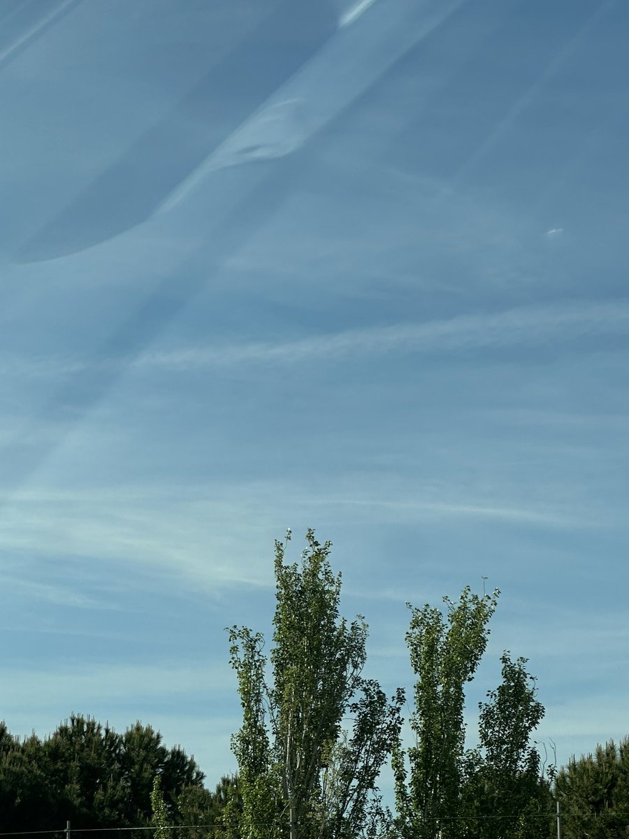 Pablo D. de la Serna PhD tweet media