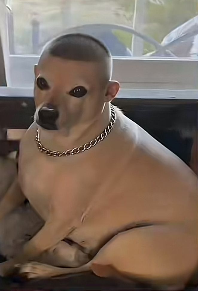 ABU TURKi tweet media