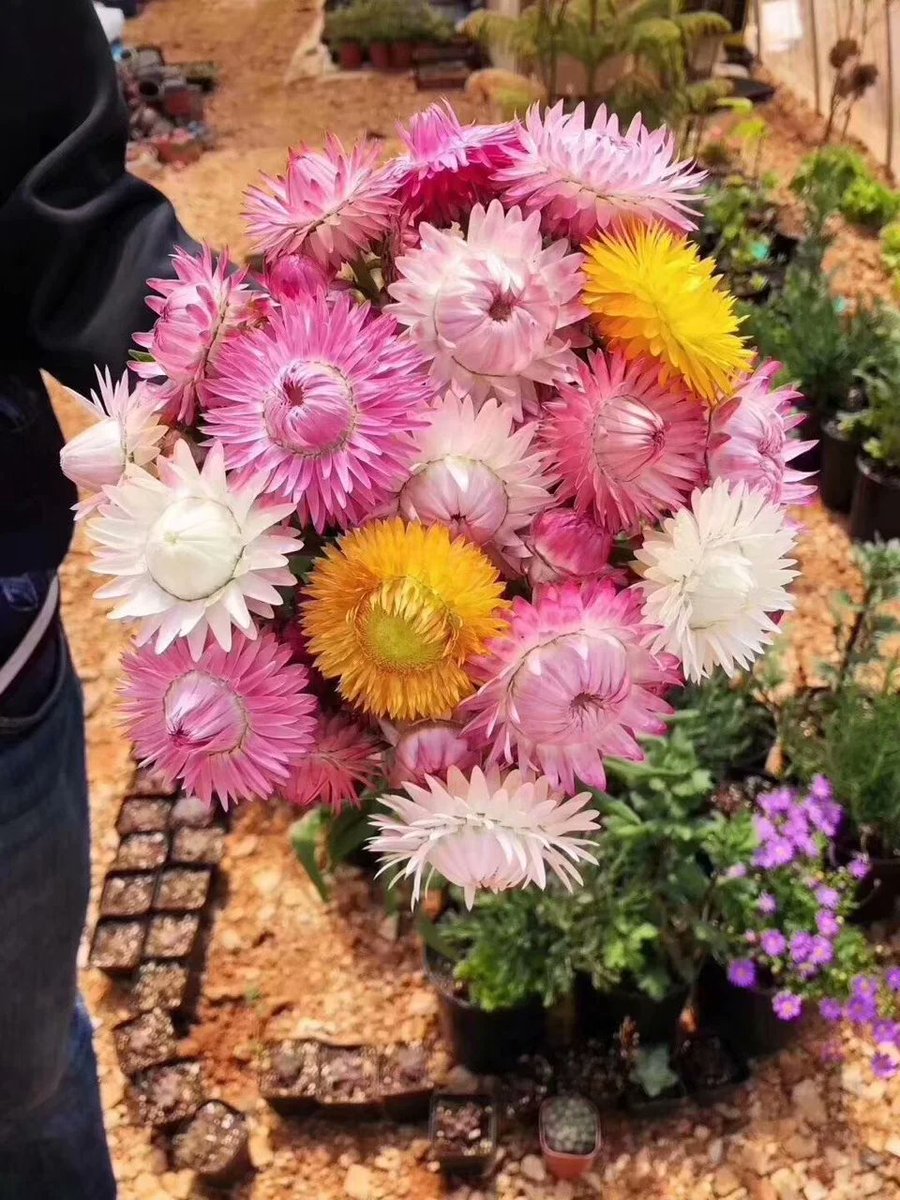 burdel matthias tweet media