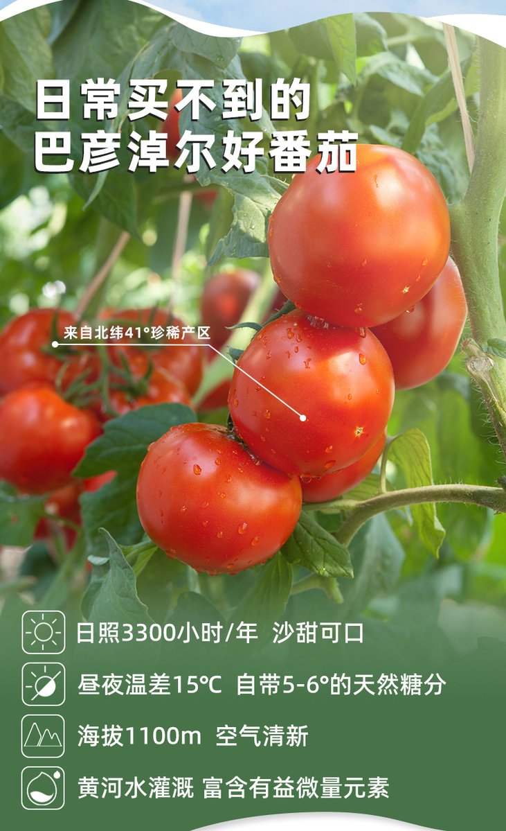 Tim Faccenda tweet media