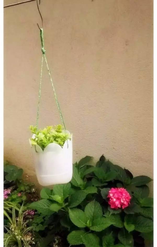 Lesley Campbell tweet media