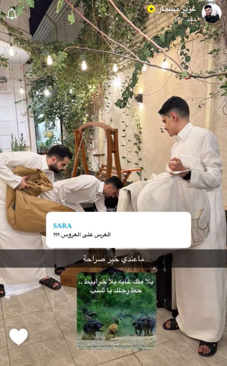 مايونيزه tweet media