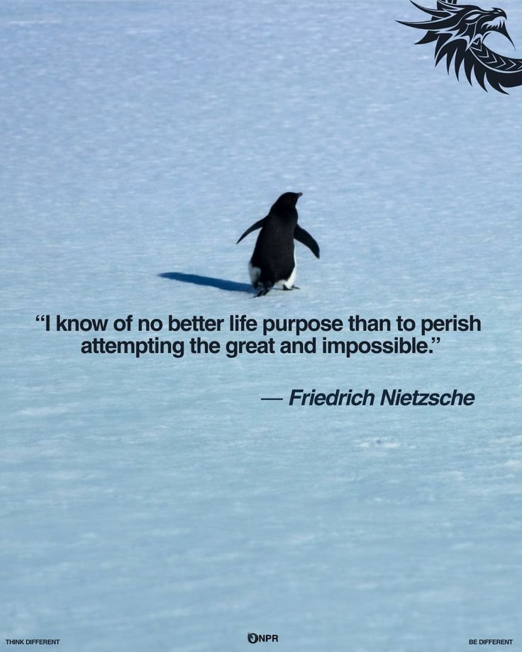 DogDickDaniel tweet media