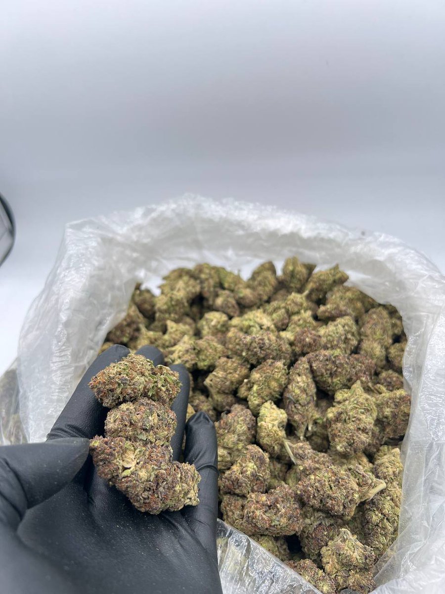 gblissbud2's tweet image. Oklahoma City &amp;amp; Tulsa 🔥💨🌿🍃 exotics ZAZA GAS LOUD plug weed bud 405 918 Exotic sticky icky kush nugs bud fire pressure 🚀 DM now 😤 #Weed #Zaza #OklahomaCity #Tulsa