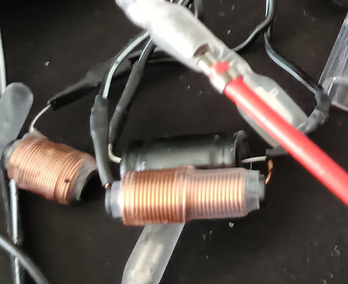 野良猫たくしい tweet media