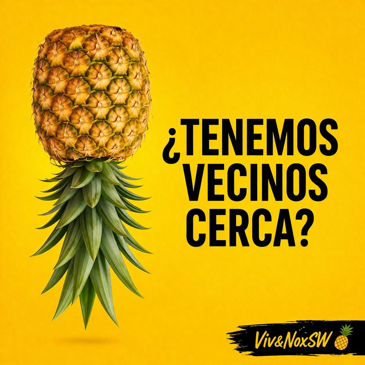 Oscar paez tweet media