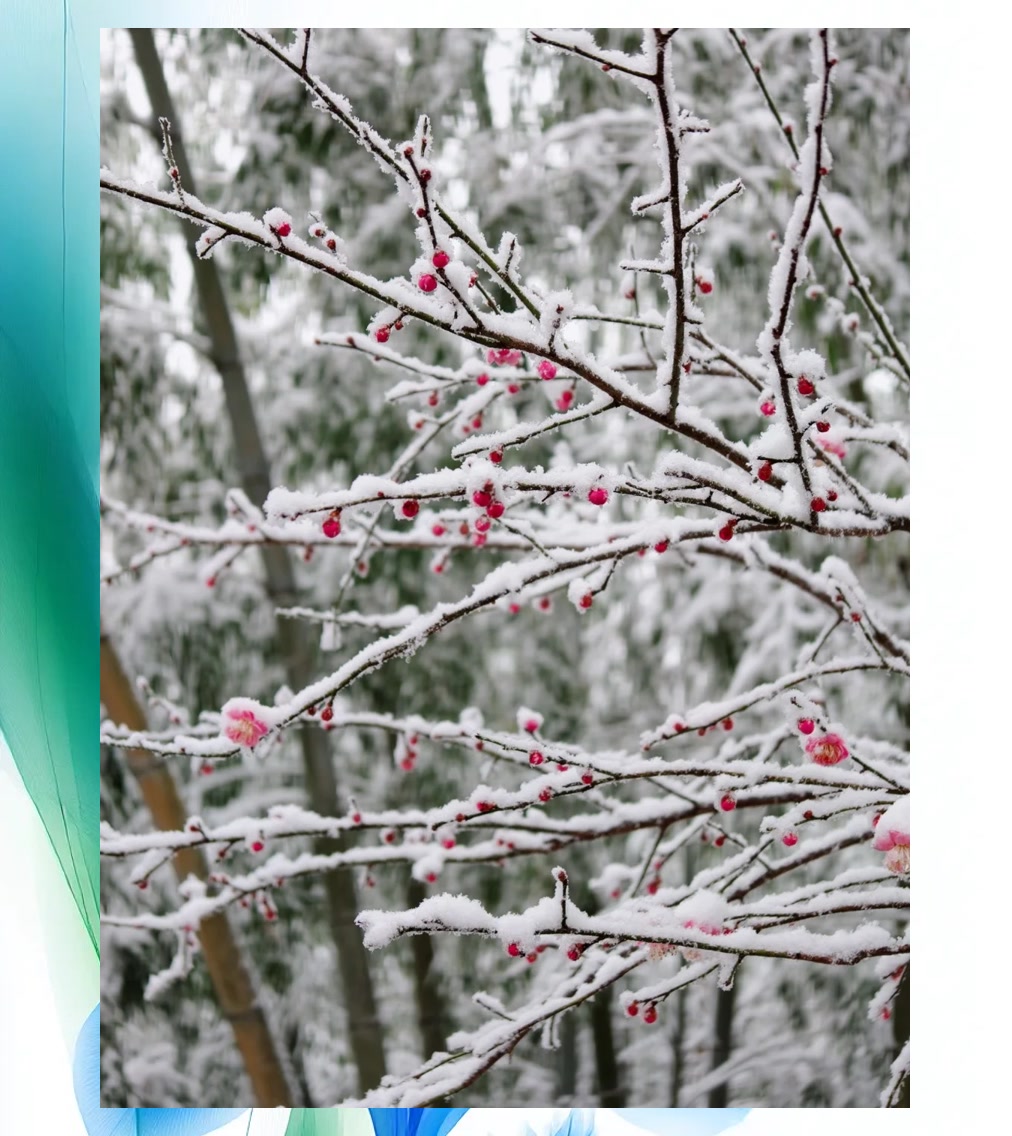 Timothy Fisher tweet media