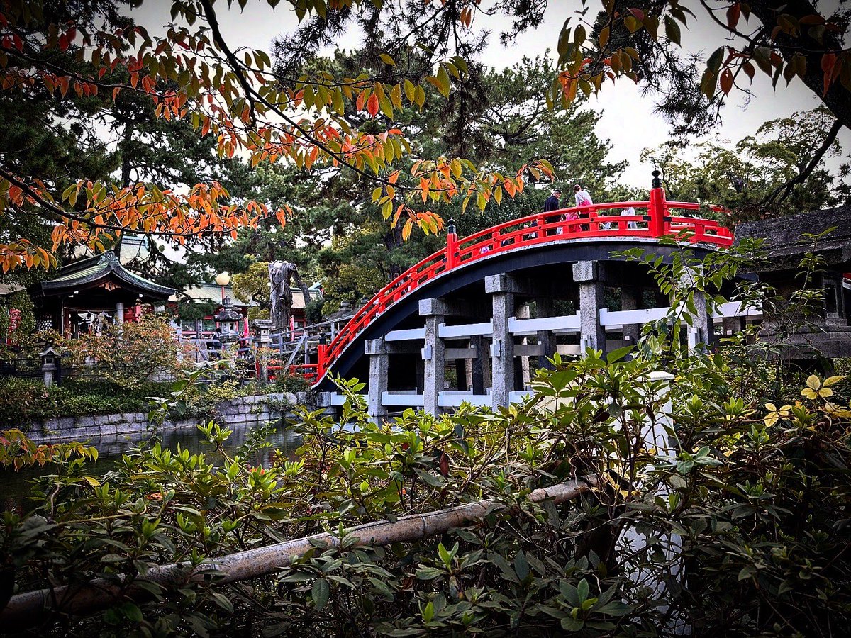 Let’s see a bridge photograph that you took!  🌉