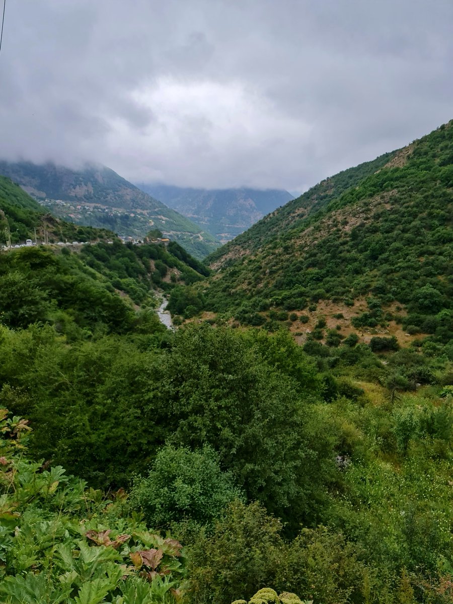 البَصْرِي tweet media