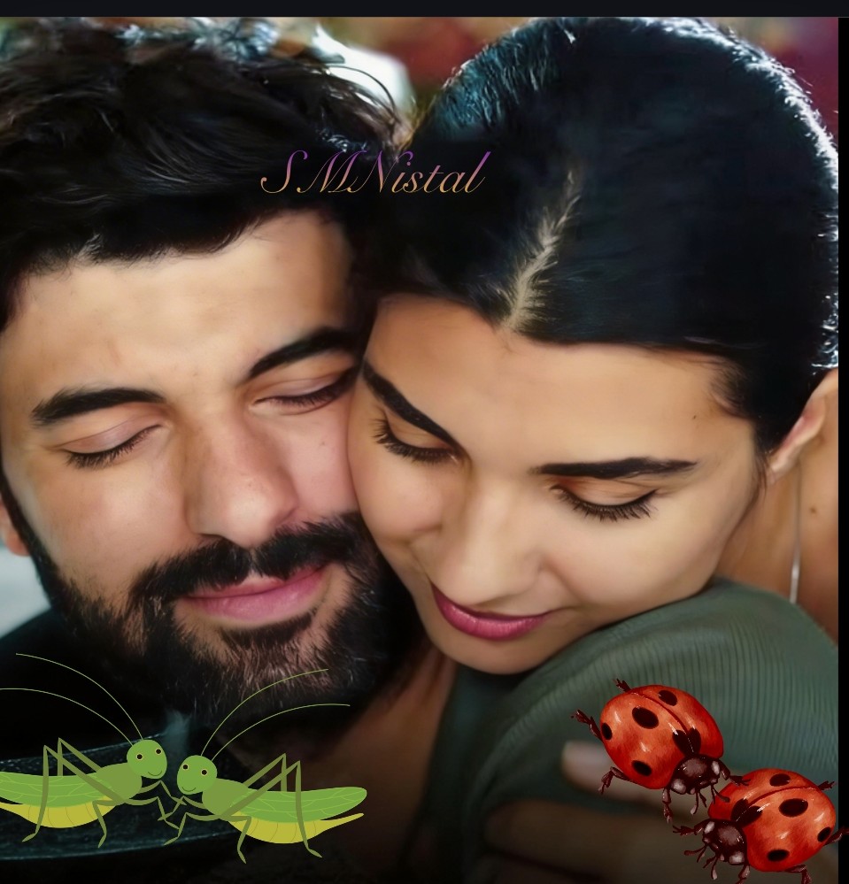 Stella Maris Nistal tweet media