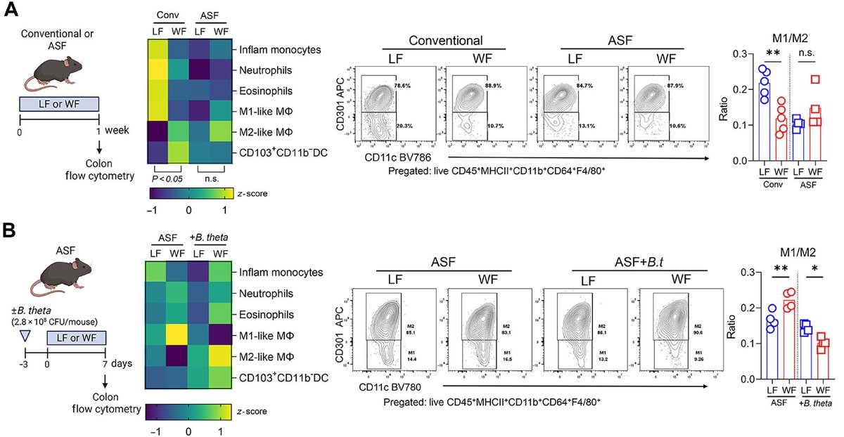 GutMicrobiota Health tweet media