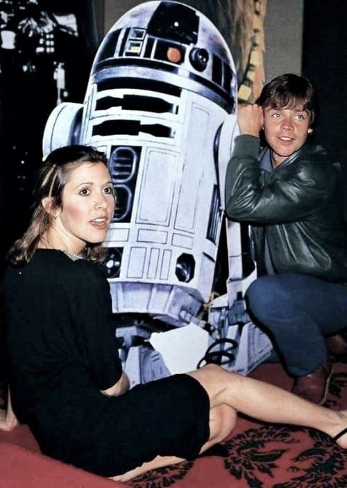 Serpentor's Lair Fans tweet media