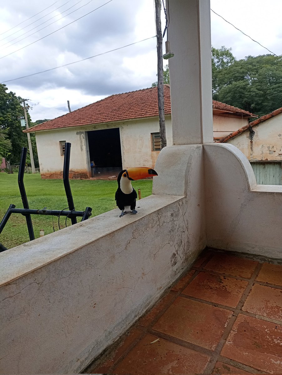 𝐻𝑒𝓇𝓇𝒾𝓈𝒶 ✧ 🪝 viu o RIIZE tweet media