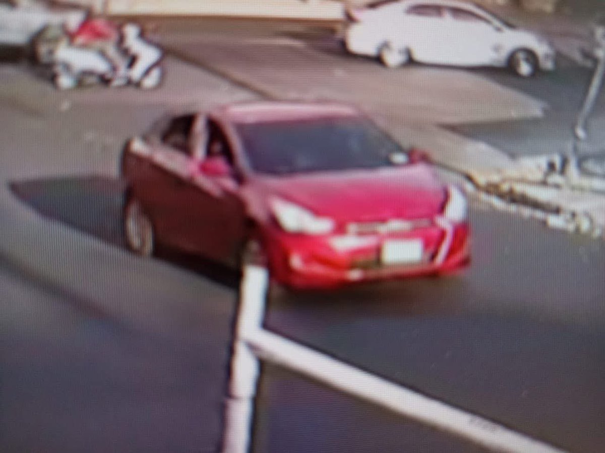 Comandante Jaguar tweet media