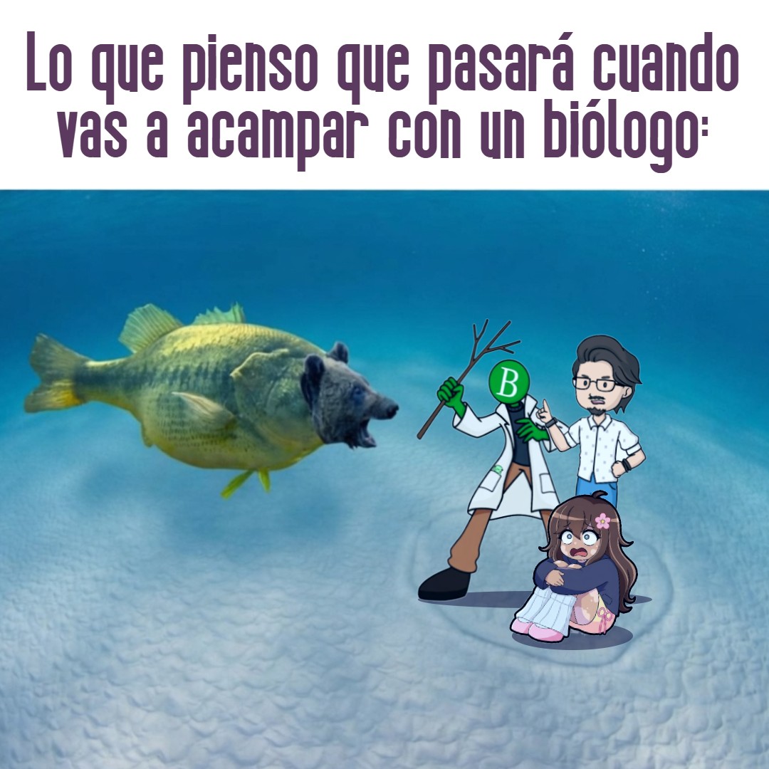 No tengo pruebas pero tampoco tengo dudas 
🌸🌸🌸