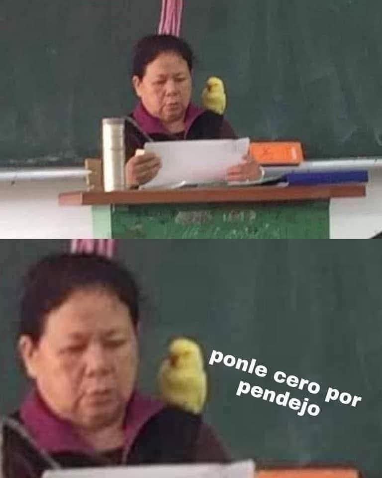 🇲🇽 México Mágico ✨ tweet media