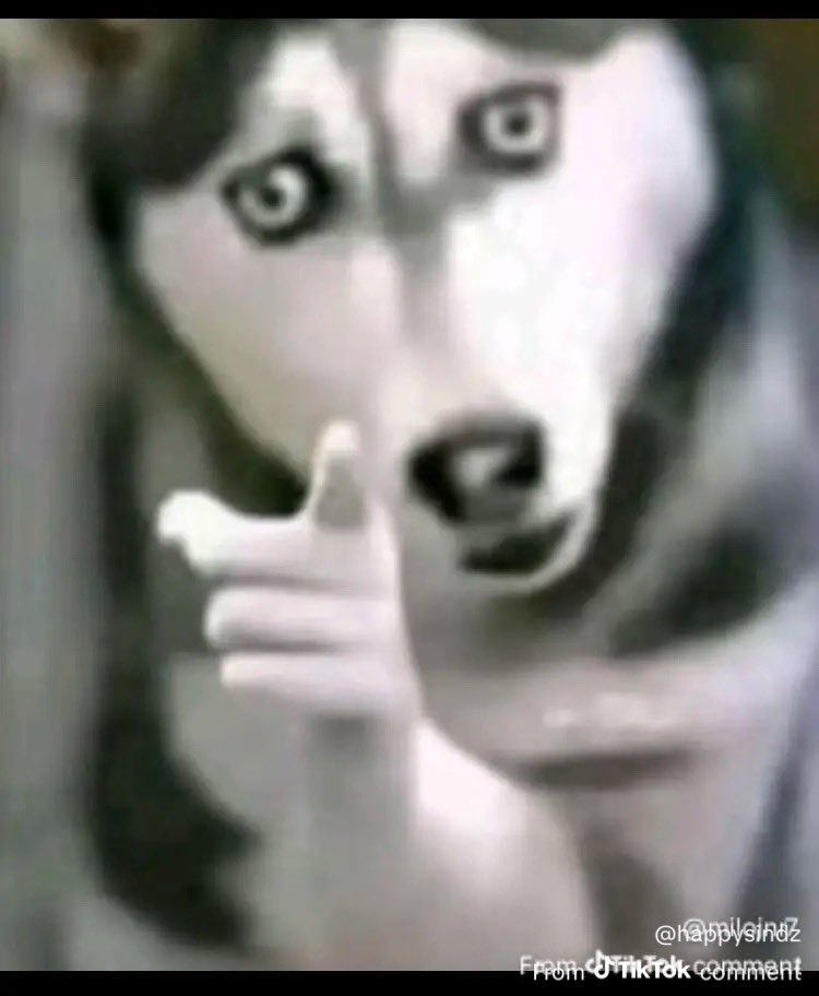 JD🩵Tr3ble🏆 4x champs 💚💛🇿🇦 tweet media