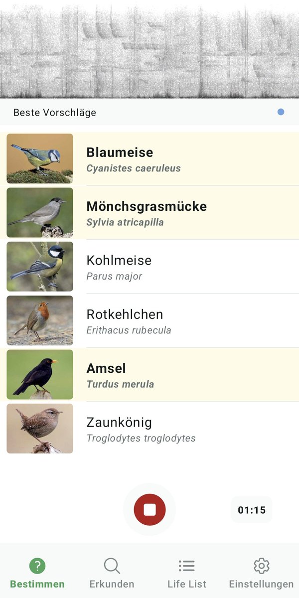 兰德里尼 tweet media