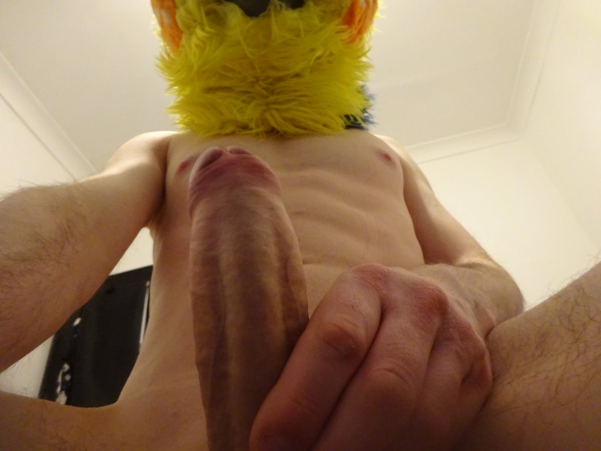 horny birb tweet media