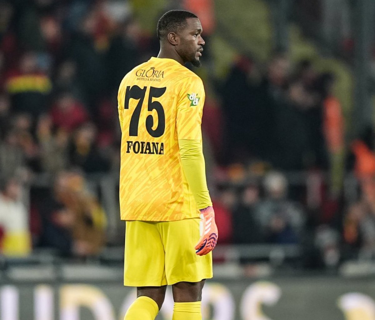 Goligan Sports tweet media