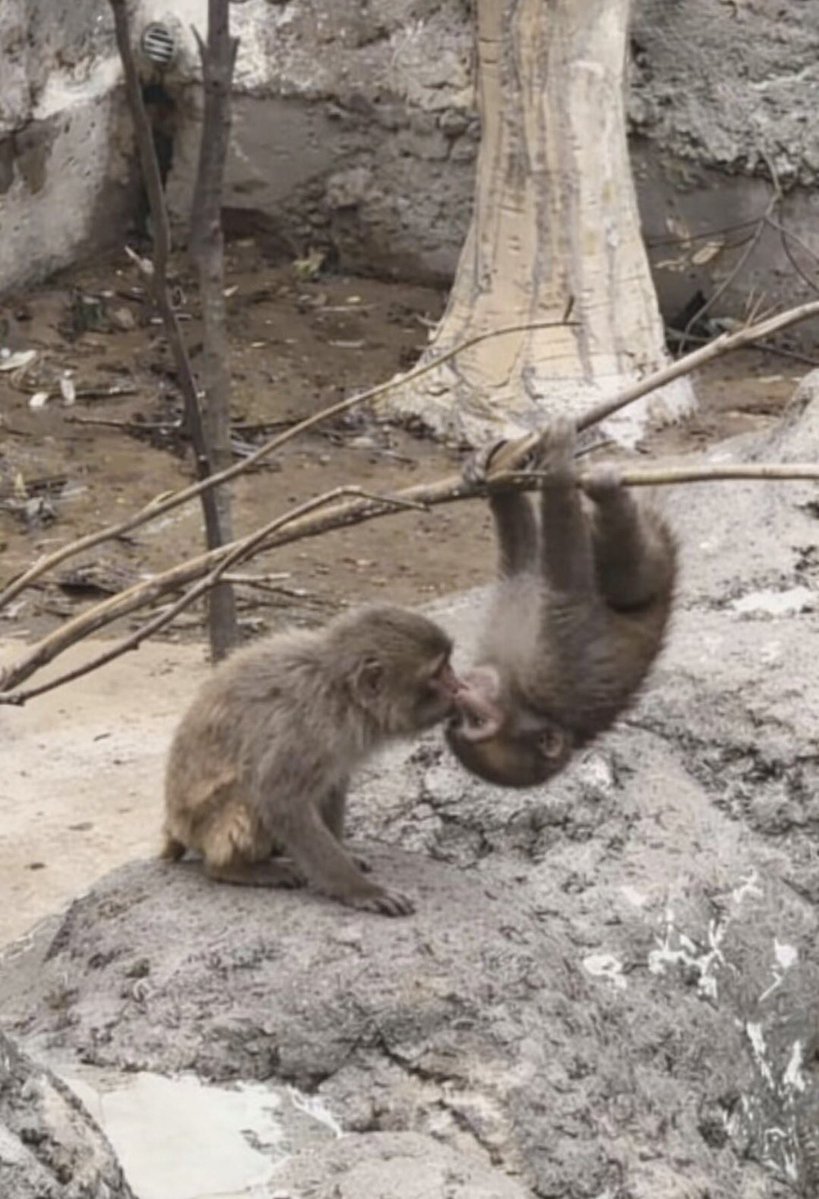 Punch in kissing mood 😙💕