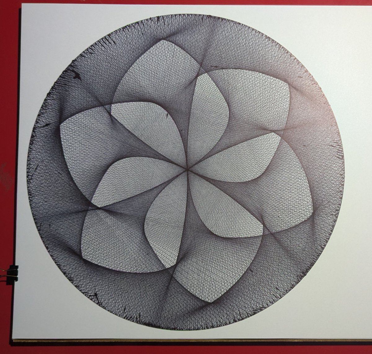 piterpasma tweet media