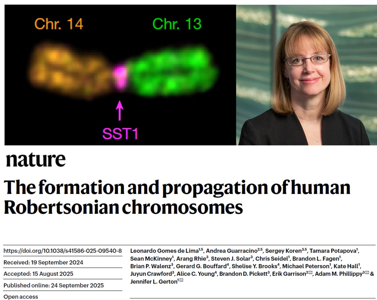 copenhaverlab's tweet photo. Our (@mei_newt, Corbin Jones &amp; me) #Meiosis, Recombination &amp; Evolution of Sex class @UNC_Biology loved talking w/ @GertonJennifer from @ScienceStowers about her super cool @Nature paper on human #Robertsonian chromosomes + a sneak peak at unpublished work!
https://t.co/DiU8AxLtr8 https://t.co/4Wd0Ztd0hF